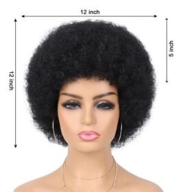 Afro Original Short Hair Wig