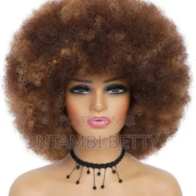 Afro Original Short Hair Wig